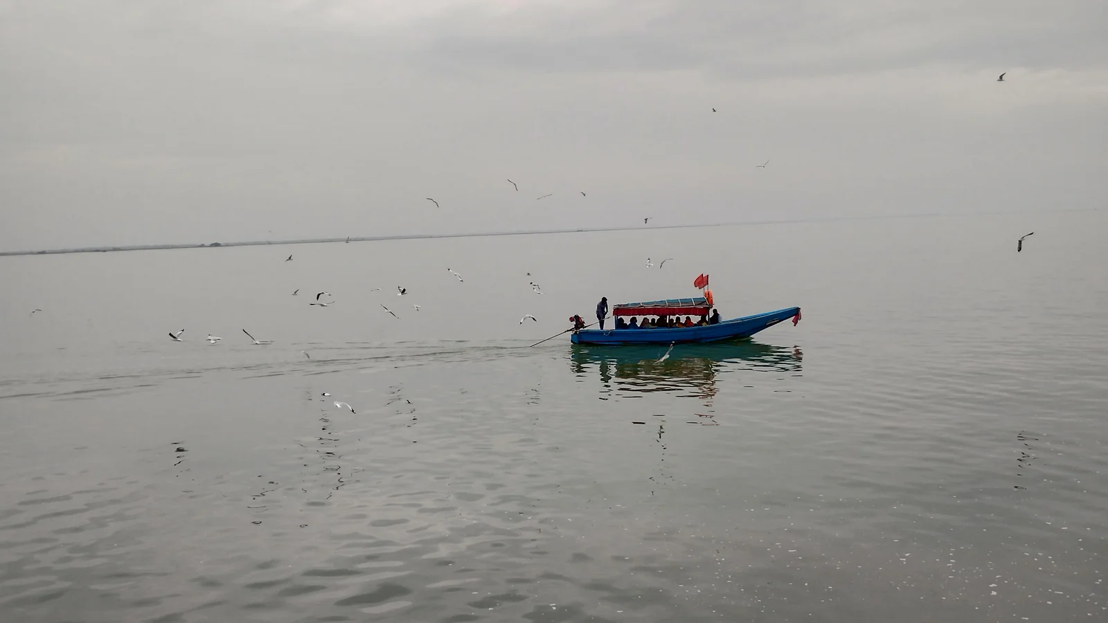 A blue passenger boat crosses grey water, with birds flying above and the distant shore on the horizon.