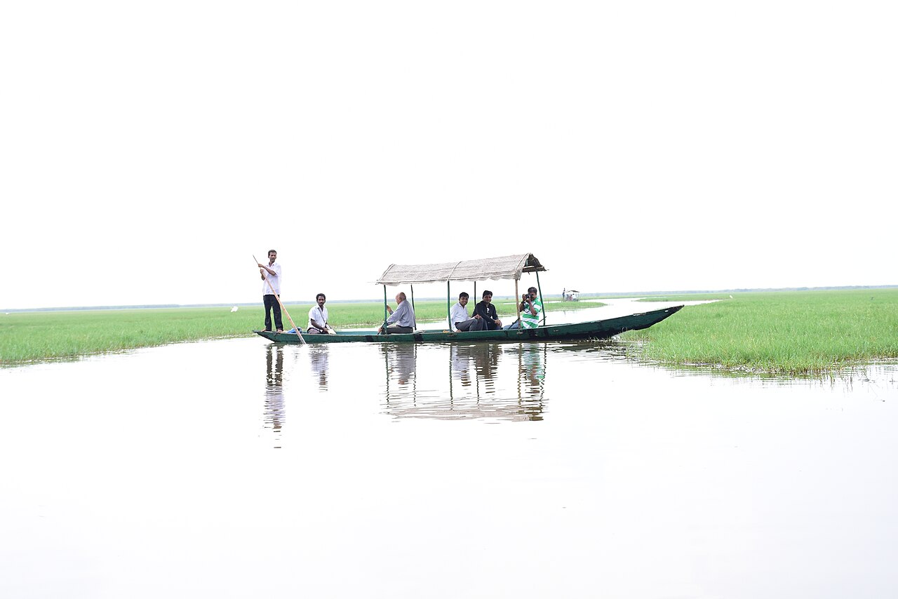 A narrow covered boat with people aboard on a still channel between green wetland vegetation.