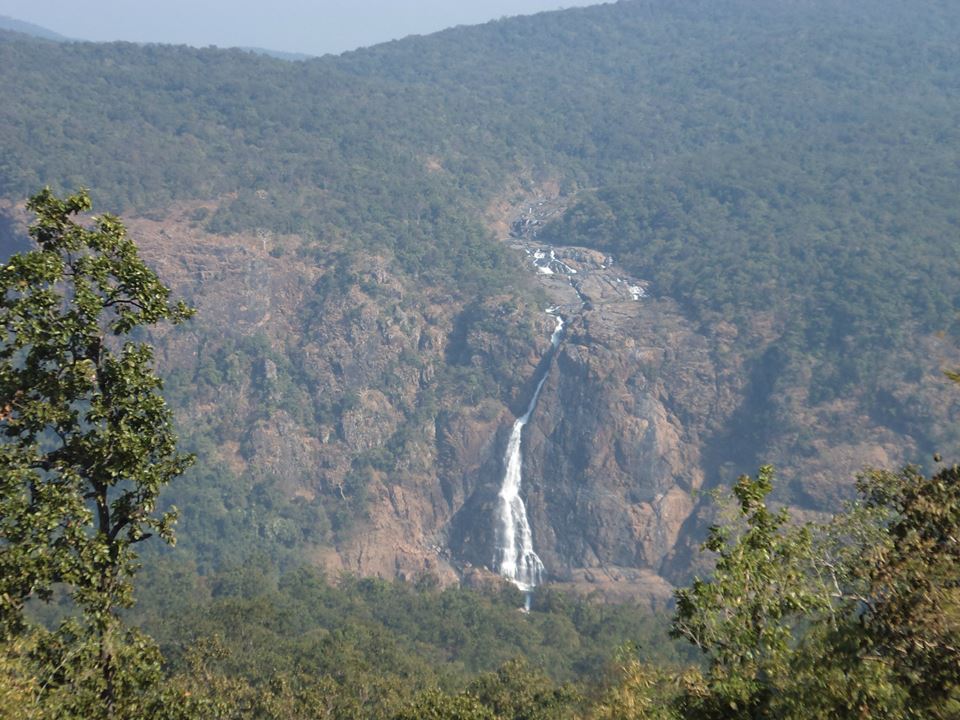 Barehipani waterfall dropping through a wooded rock face.